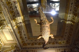 Il coccodrillo del Palazzo Ducale