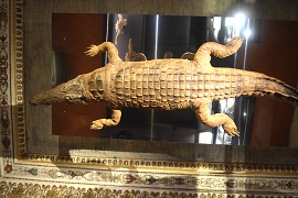 Il coccodrillo del Palazzo Ducale