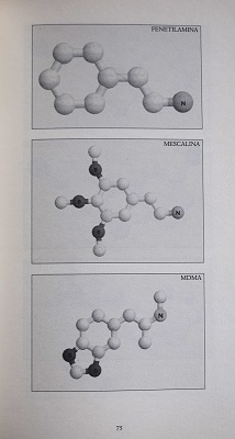 Illustrazione delle molecole