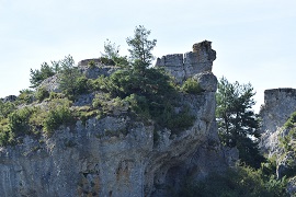 Rocce e vegetazione