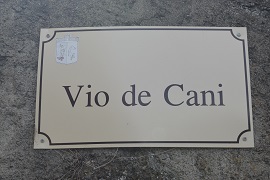 Vio de cani