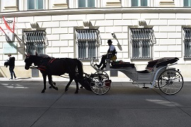 Carrozza