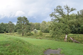 Alsace, Wingen-sur-Moder