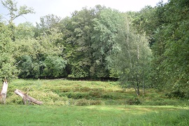 Alsace, Wingen-sur-Moder