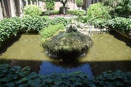 La fontana