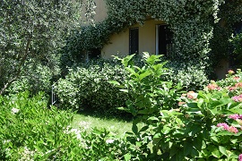 Il giardino